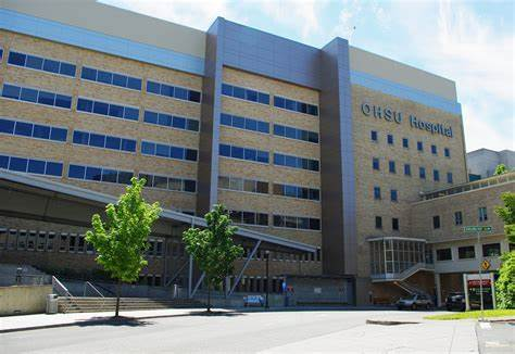 Springfield Hospital: A Beacon of Healthcare Excellence