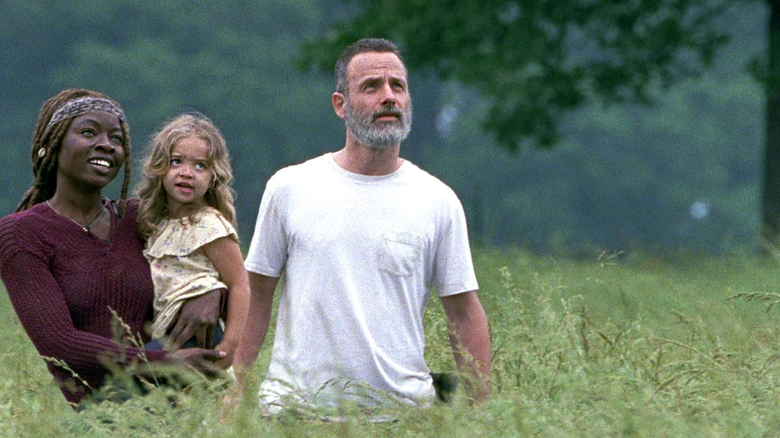 Dale Horvath: A Pillar of Strength in The Walking Dead